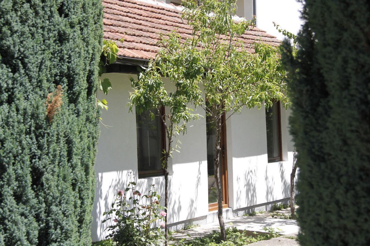 Garden Guesthouse Gjakova Exteriér fotografie